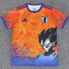 2025/26 Japan Special Edition Fans Jersey