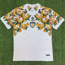 2025/26 Sorrento FC Away Fans Soccer Jersey  索伦托