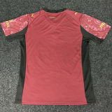 2025/26 Galatasaray Third Fans Soccer Jersey 5 Stars 5星  有胸前广告