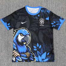 2025/26 Brazil Special Edition Fans Soccer Jersey