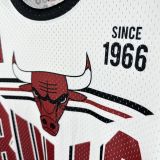 2026 Bulls Retro White T-Shirt
