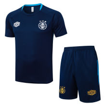 2025/26 Grêmio Baby Blue Training Jersey(A Set)