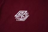 2025/26  Fluminense Red Training Jersey(A Set)
