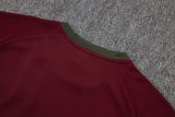 2025/26  Fluminense Red Training Jersey(A Set)