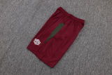 2025/26  Fluminense Red Training Jersey(A Set)