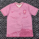 2025/26 Brazil Special Edition Fans Soccer Jersey