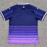 2025/26 RSC Anderlecht Home Fans Soccer Jersey 安德莱赫特
