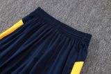 2025/26 Santos Dark Blue Vest Training Jersey(A Set)