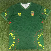 2025/26 Mali Green Fans Soccer Jersey