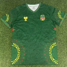 2025/26 Mali Green Fans Soccer Jersey