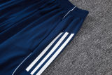 2025/26 Al Nassr Baby Blue Training Jersey(A Set)