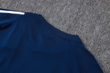 2025/26 Al Nassr Baby Blue Training Jersey(A Set)