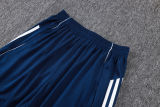 2025/26 Al Nassr Baby Blue Training Jersey(A Set)