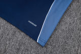 2025/26 Al Nassr Baby Blue Training Jersey(A Set)