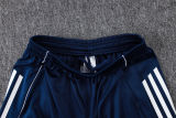 2025/26 Al Nassr Baby Blue Training Jersey(A Set)