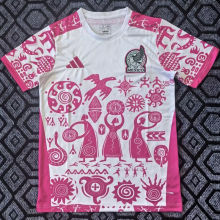 2026/27 Mexico Special Edition Fans Soccer Jersey