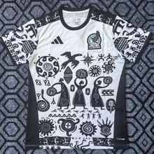 2026/27 Mexico Special Edition Fans Soccer Jersey
