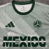 2026 Mexico World Cup Special Editiony Fans Soccer Jersey