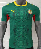 2026/27 Senegal Away Green Fans Soccer Jersey
