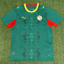2026/27 Senegal Away Green Fans Soccer Jersey
