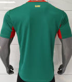2026/27 Senegal Away Green Fans Soccer Jersey