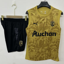 2026 Lens Gold Vest Training Jersey (A Set)