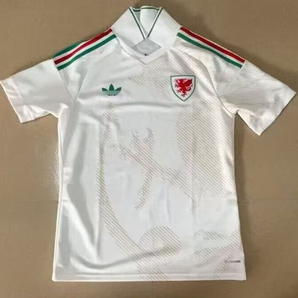 2026/27 Wales Away White Fans Soccer Jersey