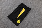 2026 BVB Yellow Vest Training Jersey (A Set)