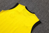 2026 BVB Yellow Vest Training Jersey (A Set)