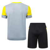 2026 BVB Grey Yellow Training Jersey(A Set)