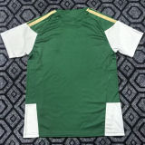 2026 Italy Special Edition Green Fans Soccer Jersey