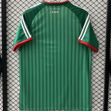 2026/27 Algeria Away Green Fans Soccer Jersey
