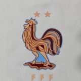 2026 France Grey Hoody