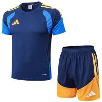 2026 AD Royal Blue Training Jersey (A Set)