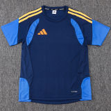 2026 AD Royal Blue Training Jersey (A Set)