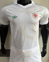 2026/27 Wales Away White Player Version Soccer Jersey