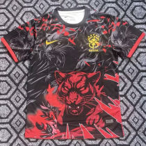 2026 Brazil Special Edition Fans Soccer Jersey