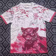 2026 Brazil Special Edition Fans Soccer Jersey