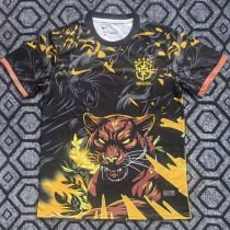 2026 Brazil Special Edition Fans Soccer Jersey