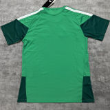 2026/27 Algeria Special Edition Fans Soccer Jersey