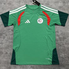2026/27 Algeria Special Edition Fans Soccer Jersey