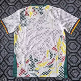 2026/27 Cameroon Away White Fans Soccer Jersey