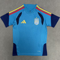 2026/27 Spain Blue Training Jersey