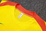 2026/27 Brazil Yellow Vest Training Jersey(A Set)