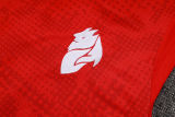 2026/27 AC Red Vest Training Jersey(A Set)