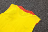 2026/27 Brazil Yellow Vest Training Jersey(A Set)