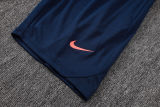 2026/27 BA Baby Blue Vest Training Jersey(A Set)
