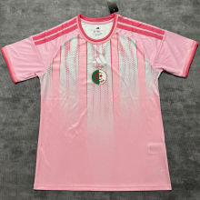 2026/27 Algeria Special Edition Fans Soccer Jersey