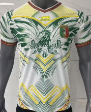 2026/27 Mali Away White Player Version Soccer Jersey