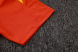 2026/27 Brazil Orange Training Jersey(A Set)